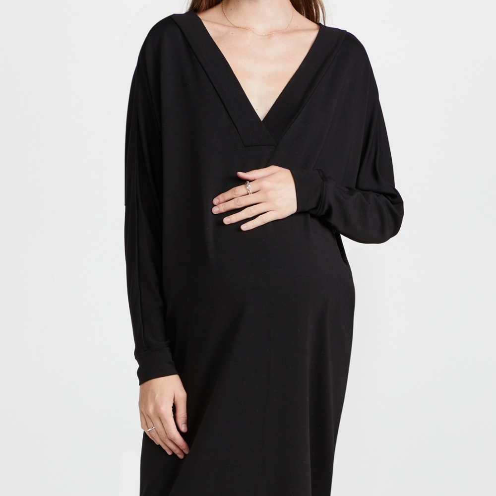NWT HATCH Collection Visitor Dress